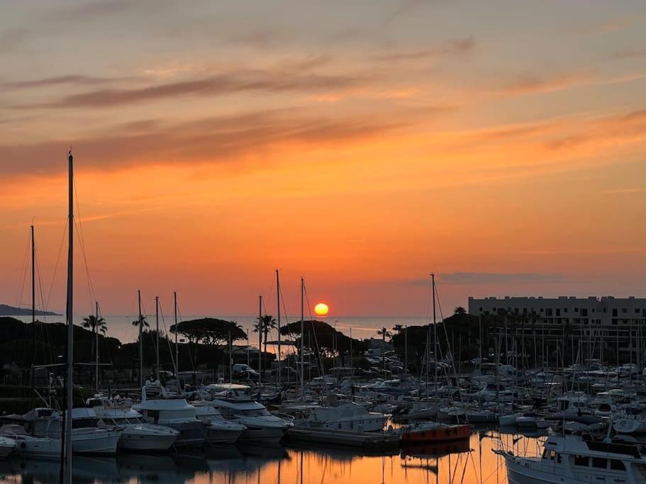 Apartament L'Atelier Marin Sur Le Port Des Marines Cogolin Zewnętrze zdjęcie